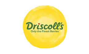 Driscolls